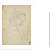 Study of a Woman by Anonymous