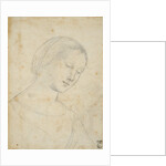 Study of a Woman by Anonymous
