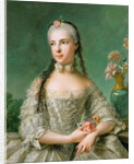 Portrait of Princess Isabella of Parma, Archduchess of Austria by Anonymous