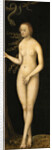The Fall of Man: Eve by Anonymous
