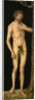 The Fall of Man: Adam by Anonymous