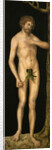 The Fall of Man: Adam by Anonymous