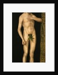 The Fall of Man: Adam by Anonymous