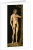 The Fall of Man: Adam by Anonymous