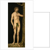The Fall of Man: Adam by Anonymous