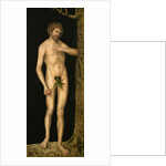 The Fall of Man: Adam by Anonymous