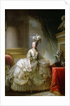 Archduchess Marie Antoinette, Queen of France by Anonymous