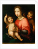 Virgin and child with John the Baptist as a Boy by Anonymous