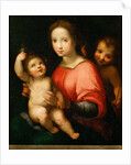 Virgin and child with John the Baptist as a Boy by Anonymous