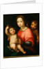 Virgin and child with John the Baptist as a Boy by Anonymous