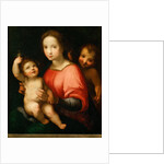 Virgin and child with John the Baptist as a Boy by Anonymous