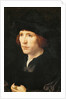 Portrait of a Man by Anonymous