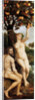 The Fall of Man by Anonymous