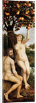 The Fall of Man by Anonymous