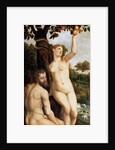The Fall of Man by Anonymous