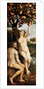 The Fall of Man by Anonymous