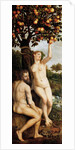 The Fall of Man by Anonymous