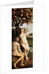 The Fall of Man by Anonymous