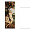 The Fall of Man by Anonymous