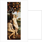 The Fall of Man by Anonymous