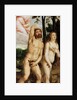 The Fall of Man by Anonymous