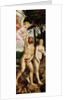 The Fall of Man by Anonymous