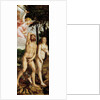 The Fall of Man by Anonymous