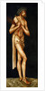 The Fall of Man: Christ as the Man of Sorrows by Anonymous