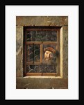Old Man in the Window by Anonymous