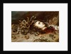 Head of Medusa by Anonymous