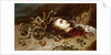 Head of Medusa by Anonymous