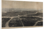 Panorama of St. Petersburg and the surrounding area from the birds eye view by Anonymous