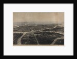 Panorama of St. Petersburg and the surrounding area from the birds eye view by Anonymous