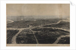 Panorama of St. Petersburg and the surrounding area from the birds eye view by Anonymous