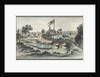 View of the Pavlovsk Park with the Hospital of St Mary Magdalene by Anonymous