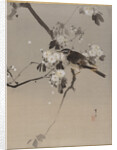Birds on a Flowering Branch by Anonymous