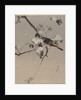 Birds on a Flowering Branch by Anonymous