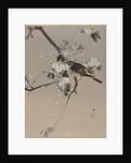 Birds on a Flowering Branch by Anonymous