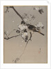 Birds on a Flowering Branch by Anonymous
