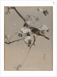 Birds on a Flowering Branch by Anonymous