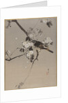 Birds on a Flowering Branch by Anonymous