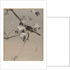 Birds on a Flowering Branch by Anonymous