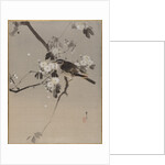 Birds on a Flowering Branch by Anonymous