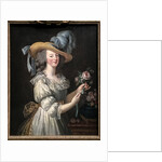 Marie Antoinette in a Muslin dress by Anonymous