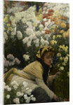 Chrysanthemums, c. 1875 by Anonymous