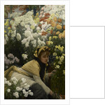 Chrysanthemums, c. 1875 by Anonymous