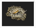 Box in the Shape of the Crab, 1740-1750s by Anonymous