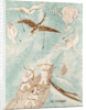 Illustration for the book Hunting in the North, Early 1930s by Anonymous