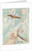 Illustration for the book Hunting in the North, Early 1930s by Anonymous