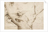 The Owls Nest, ca. 1505-1510 by Anonymous